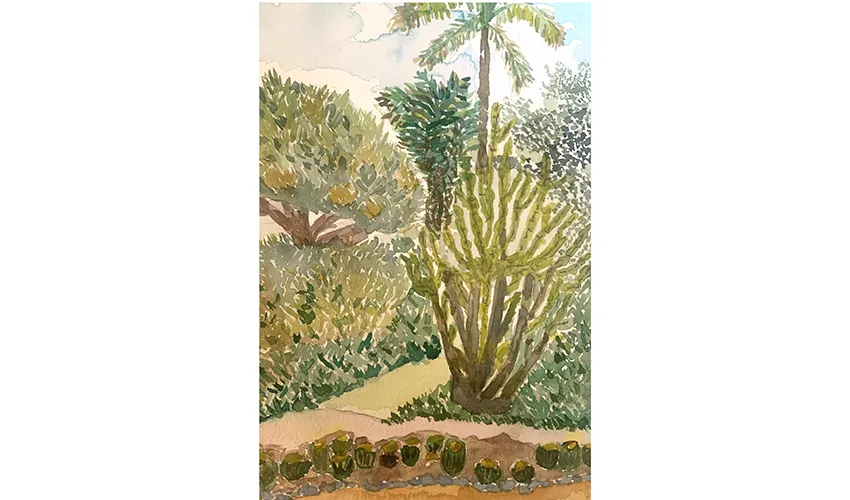 colorful rendering of foliage